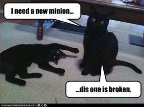 Classic LOLcat