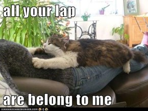 all your lap 