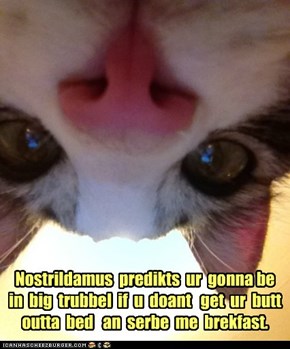 Nostrildamus  predikts  ur  gonna be  in  big  trubbel  if  u  doant   get  ur  butt  outta  bed   an  serbe  me  brekfast.