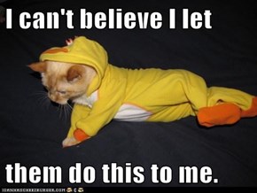 Lolcats: I can't believe