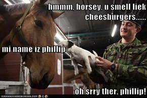 hmmm, horsey, u smell liek cheesburgers...... mi name iz phillip oh srry ther, phillip!