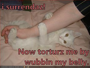 i surrendaz!  Now torturz me by wubbin my belly.