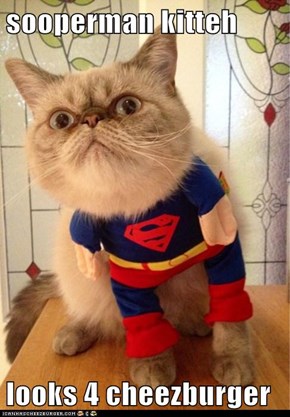 sooperman kitteh  looks 4 cheezburger