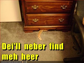 Dei'll  neber  find  meh  heer