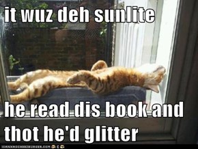 it wuz deh sunlite  he read dis book and thot he'd glitter