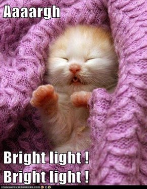 Aaaargh  Bright light !      Bright light !