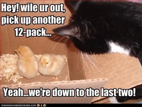 Classic LOLcat