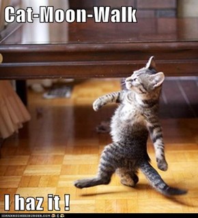 Cat-Moon-Walk  I haz it !