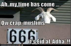 Ah, my time has come ... Ow crap, muslims it's Eid al-Adha' !!
