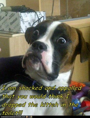 I am shocked and appalled that you would think I dropped the kitteh in the toilet!!!