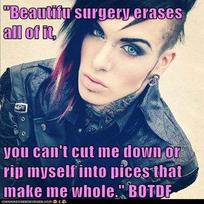 "Beautifu surgery erases all of it,  you can't cut me down or rip myself into pices that make me whole." BOTDF