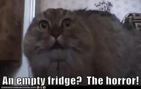 An empty fridge?  The horror!