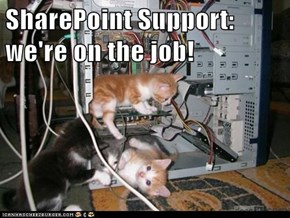 SharePoint Support: we're on the job!