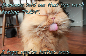 Someone told me that you were feeling "PLEH".  I hope you're better soon.