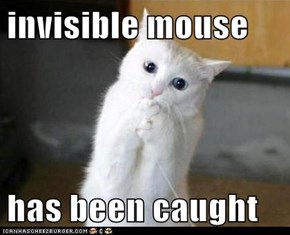 invisible mouse  has been caught