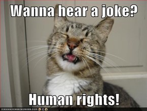 Wanna hear a joke?  Human rights!
