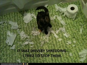 Lolcats: Driveby Shredding