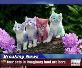 Breaking News - four cats in imaginary land are here