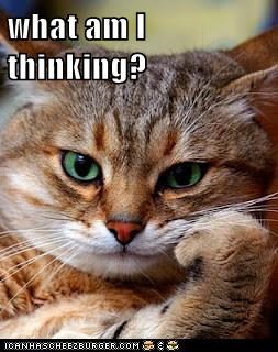 what am I thinking?