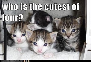 who is the cutest of four?