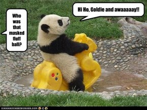 The Lone Panda Rides Again