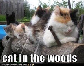 cat in the woods