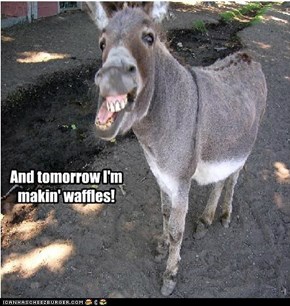 Waffles!