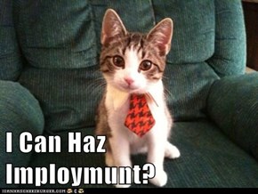 I Can Haz Imploymunt?