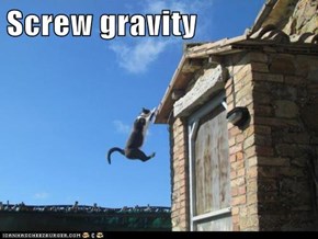 Screw gravity