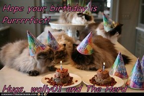 Hope your birthday is Purrrrfect!  Hugs, wally01 and The Herd