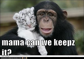 mama can we keepz it?