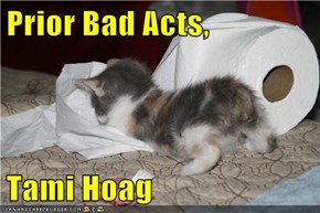 Prior Bad Acts,  Tami Hoag