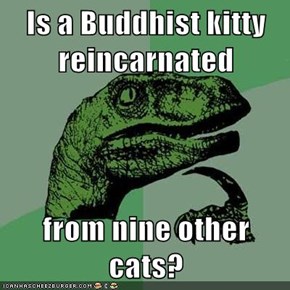 Is a Buddhist kitty reincarnated  from nine other cats?