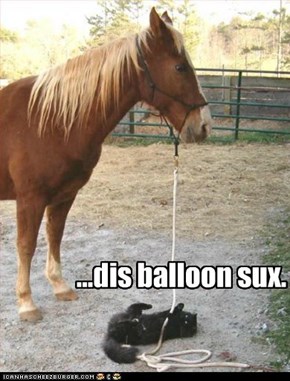 ...dis balloon sux.