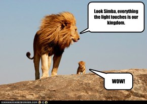 Look Simba, everything the light touches is our kingdom.