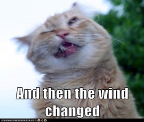 And then the wind changed