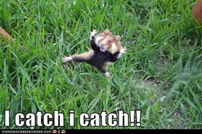I catch i catch!!
