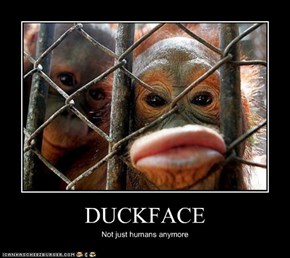 DUCKFACE