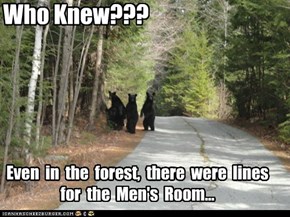Who Knew???  Even in the forest, there were lines for the Men's Room...
