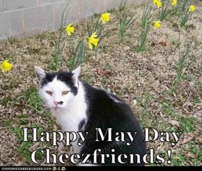 Happy May Day Cheezfriends!