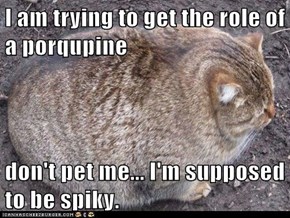 I am trying to get the role of a porqupine  don't pet me... I'm supposed to be spiky.