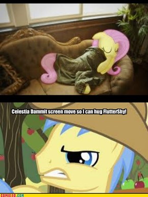 Fluttershy, MUCH MORE important than screens