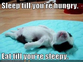 Sleep till you're hungry.  Eat till you're sleepy.