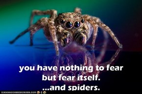 Fear Itself