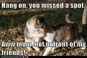 Hang on, you missed a spot.  Aww mom, not in front of my friends!