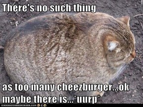 There's no such thing  as too many cheezburger...ok maybe there is...*uurp*
