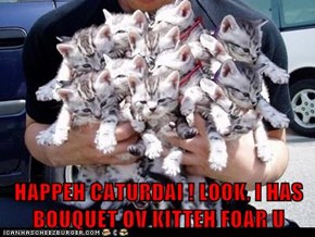 HAPPEH CATURDAI ! LOOK, I HAS BOUQUET OV KITTEH FOAR U