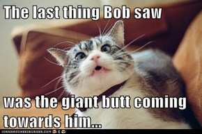 The last thing Bob saw  was the giant butt coming towards him...