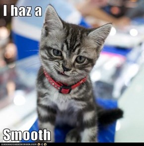 I haz a   Smooth