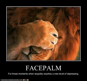 Animal Capshunz: Even Lions Have These Moments